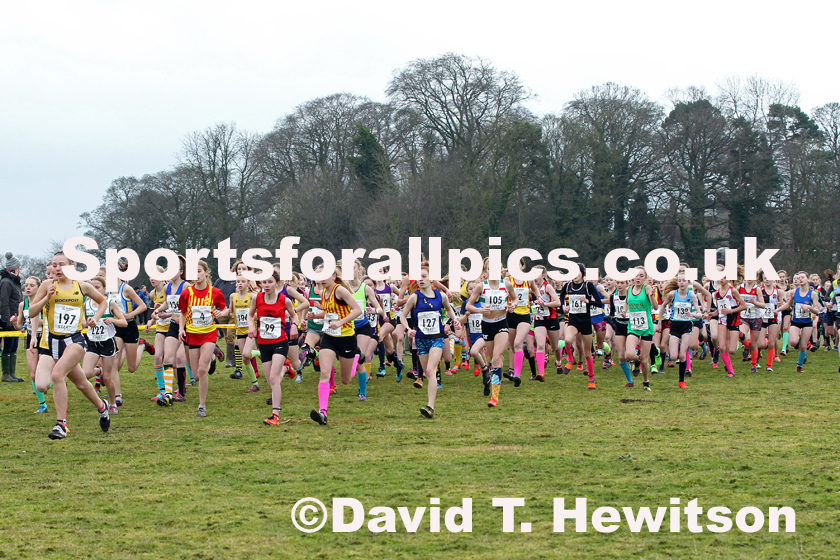 Girls under-13s Northern Cross Country Champs., Camp Hill Estate, Kirklington.  Photo: David T. Hewitson/Sports for All Pics